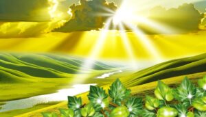 biblical dawn symbolism explained