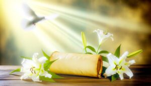 biblical significance of jacqueline