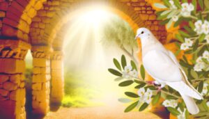biblical symbolism of pigeons